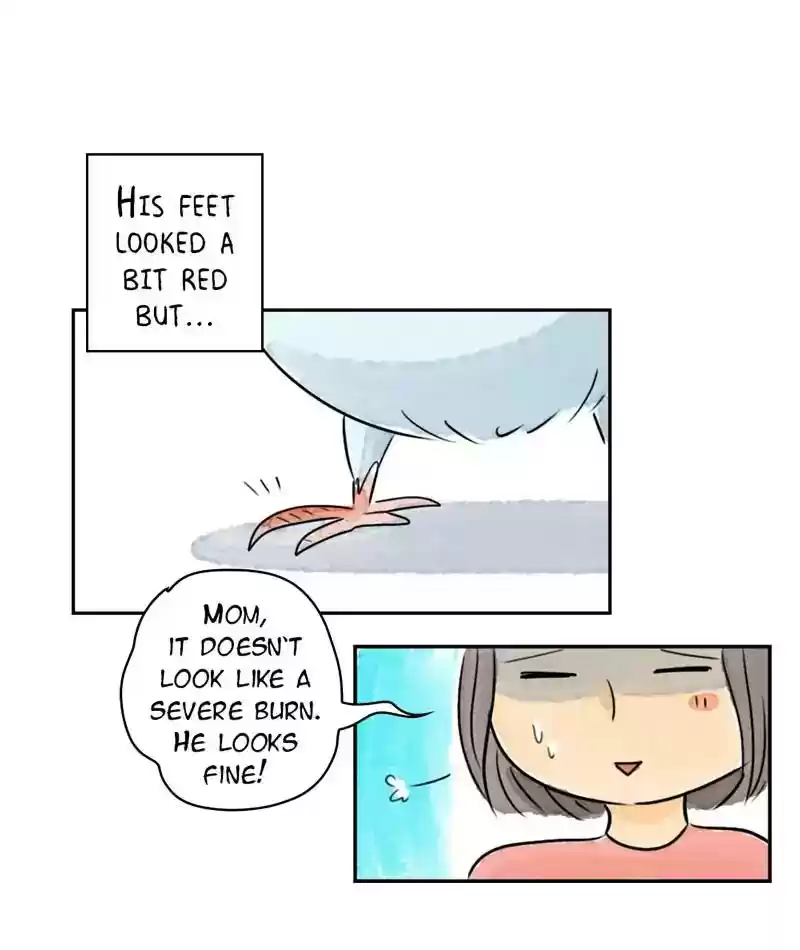 A Budgie's Life Chapter 206: Ep.205: