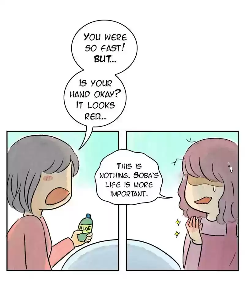 A Budgie's Life Chapter 206: Ep.205: