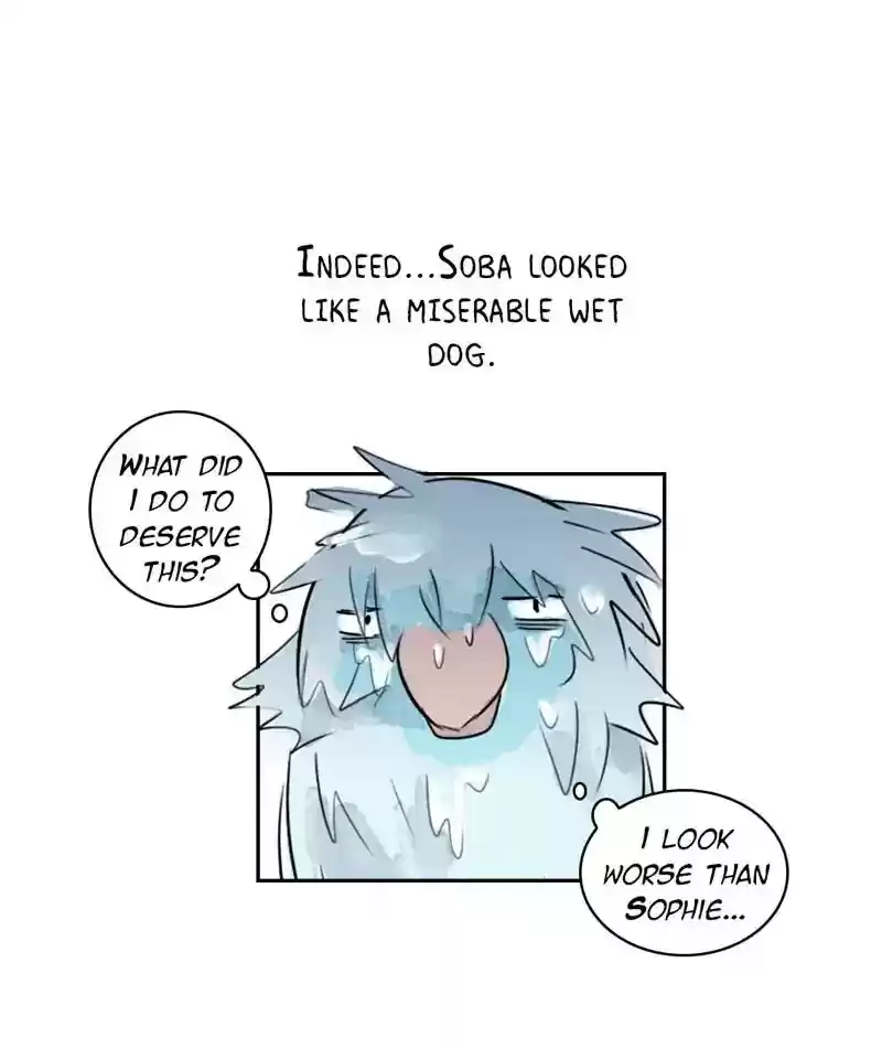 A Budgie's Life Chapter 206: Ep.205: