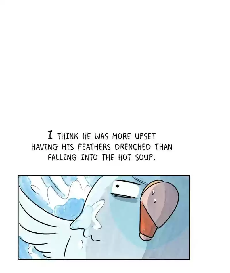 A Budgie's Life Chapter 206: Ep.205: