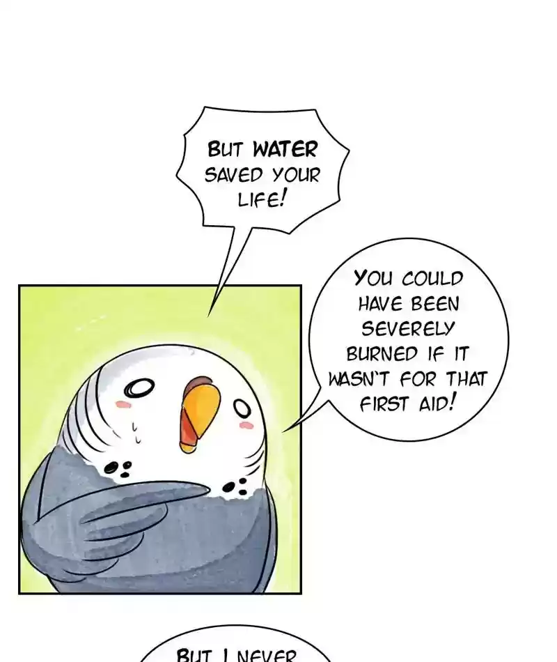 A Budgie's Life Chapter 206: Ep.205: