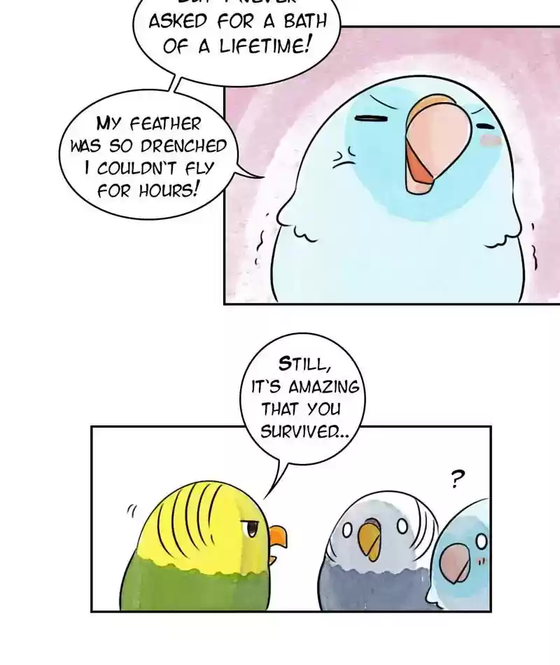 A Budgie's Life Chapter 206: Ep.205: