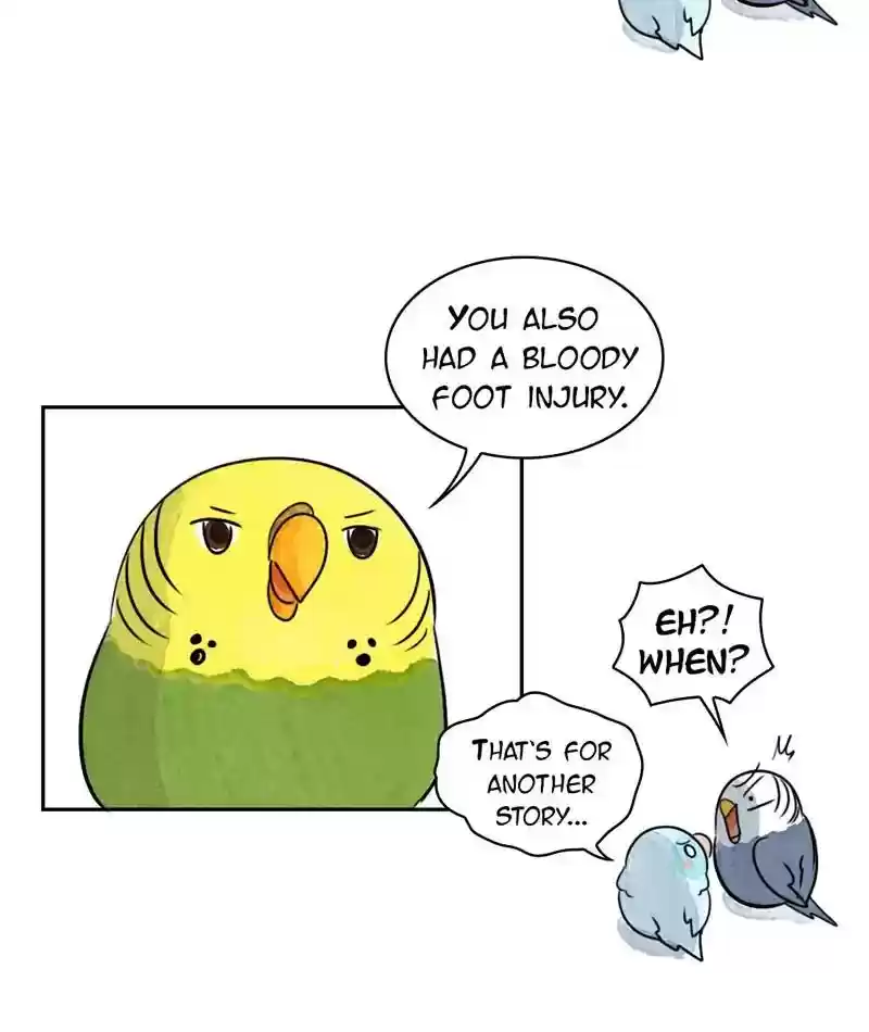 A Budgie's Life Chapter 206: Ep.205: