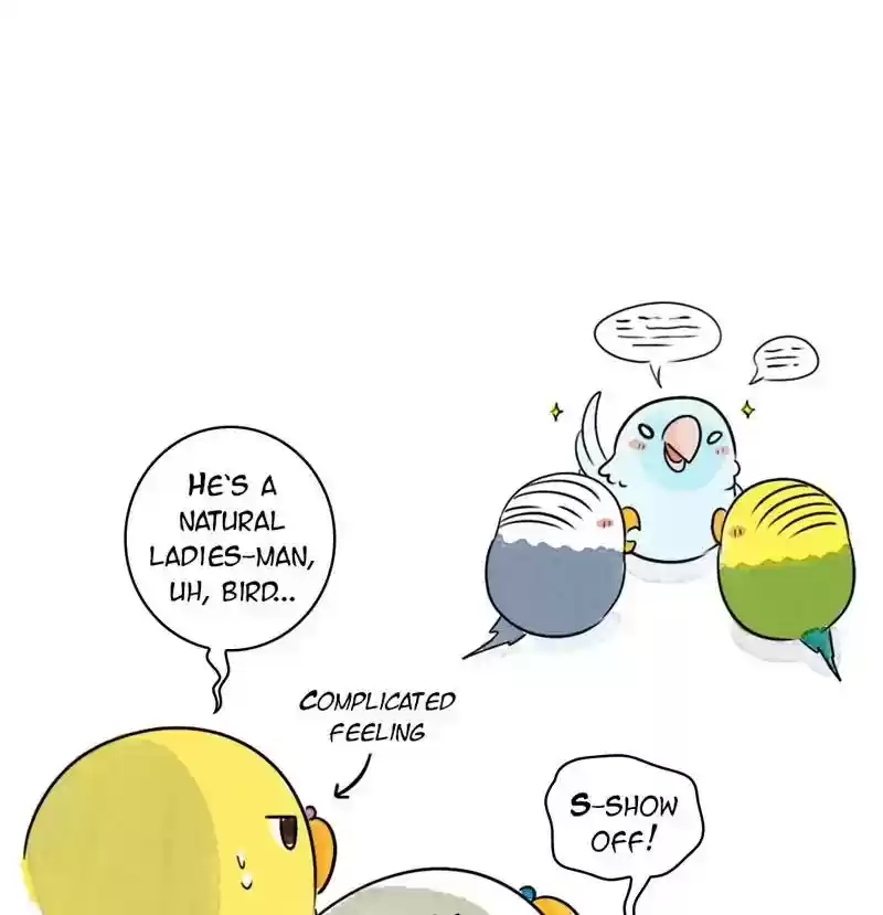 A Budgie's Life Chapter 206: Ep.205: