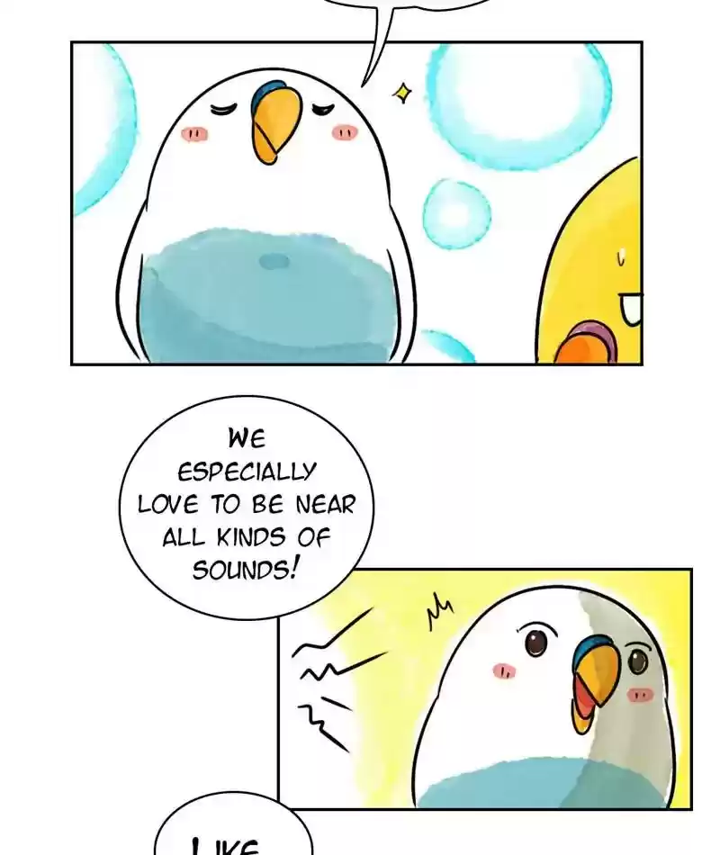 A Budgie's Life Chapter 207: Ep.206: