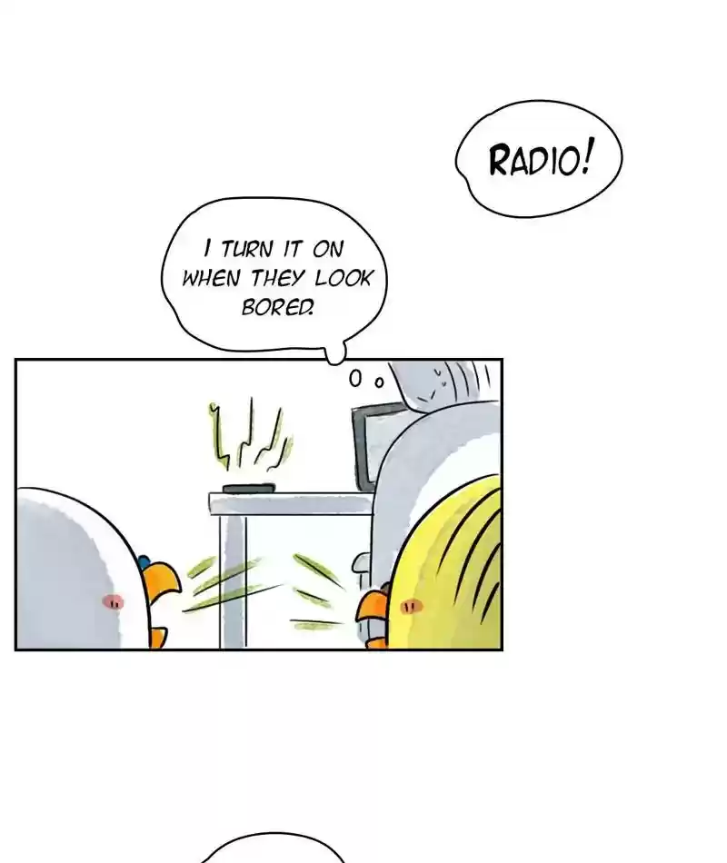 A Budgie's Life Chapter 207: Ep.206: