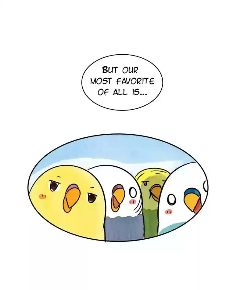 A Budgie's Life Chapter 207: Ep.206: