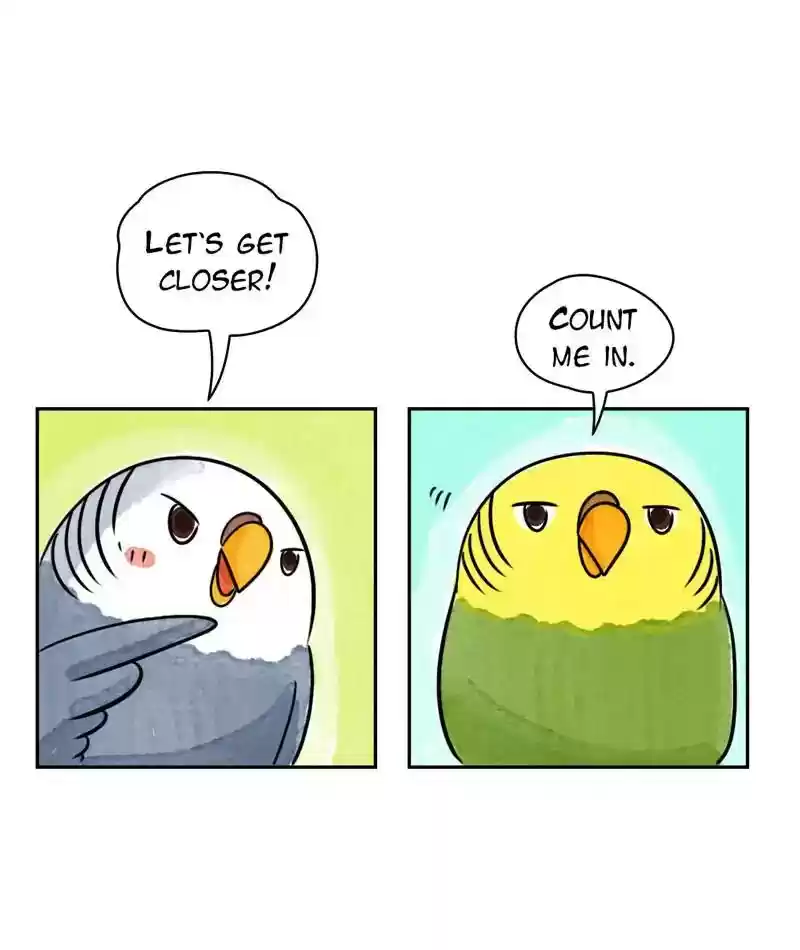 A Budgie's Life Chapter 207: Ep.206: