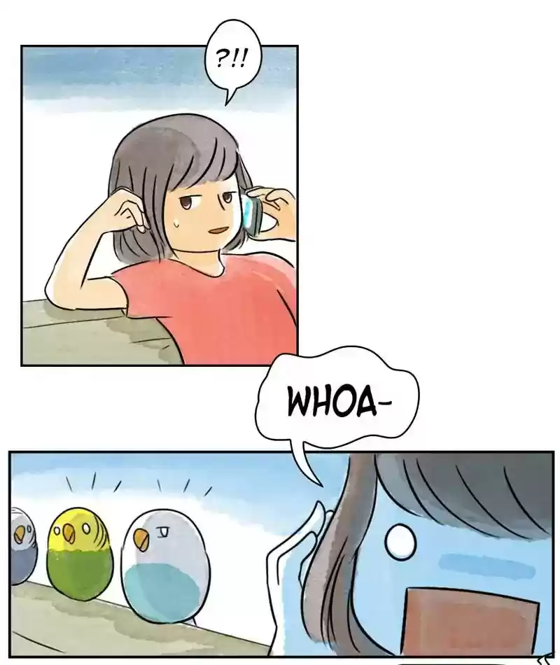 A Budgie's Life Chapter 207: Ep.206: