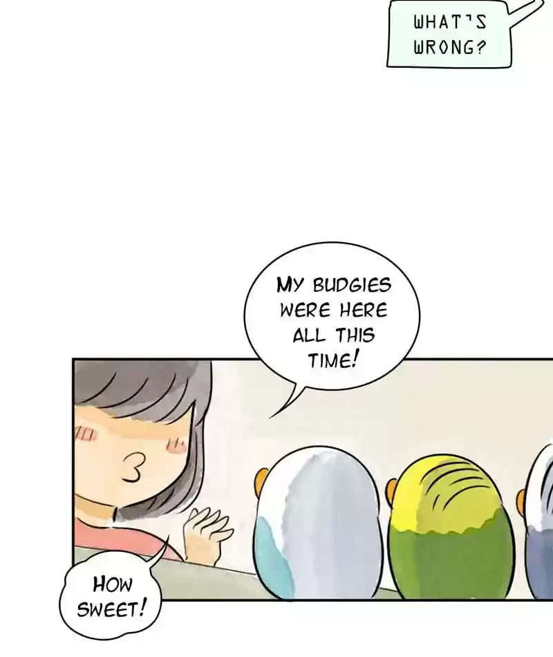 A Budgie's Life Chapter 207: Ep.206:
