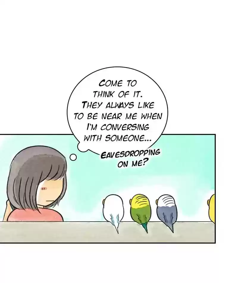 A Budgie's Life Chapter 207: Ep.206: