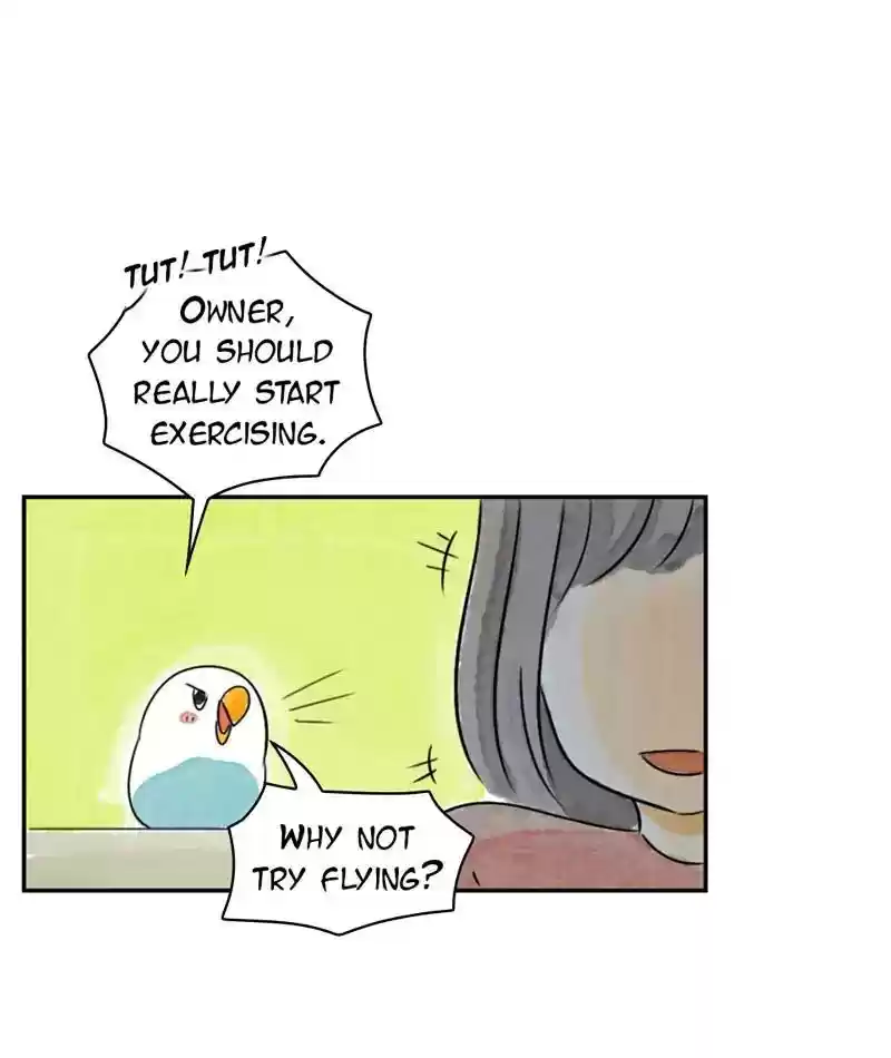 A Budgie's Life Chapter 207: Ep.206: