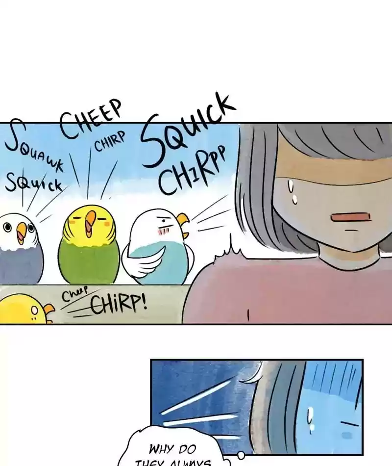 A Budgie's Life Chapter 207: Ep.206: