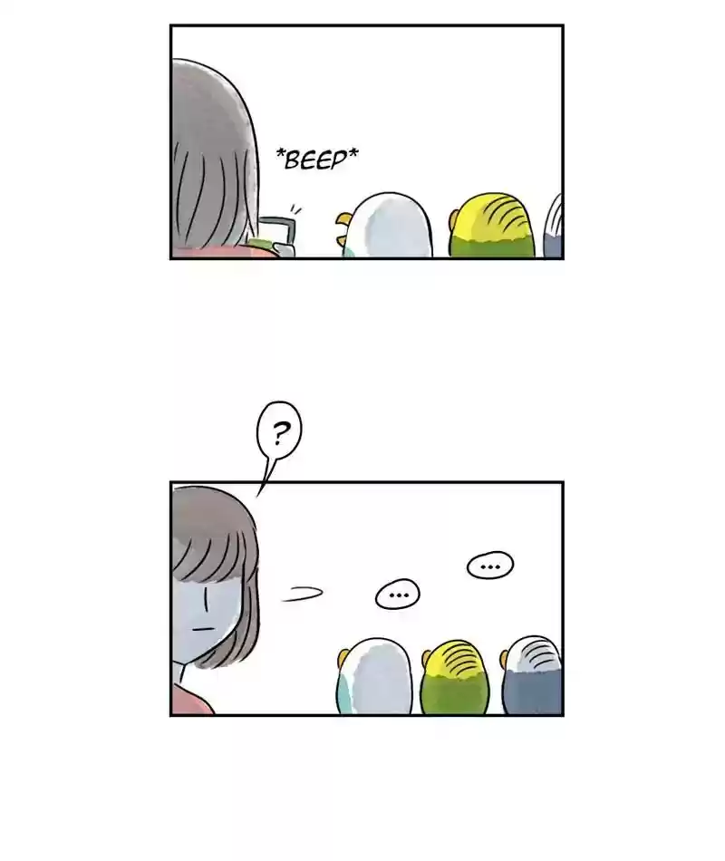 A Budgie's Life Chapter 207: Ep.206:
