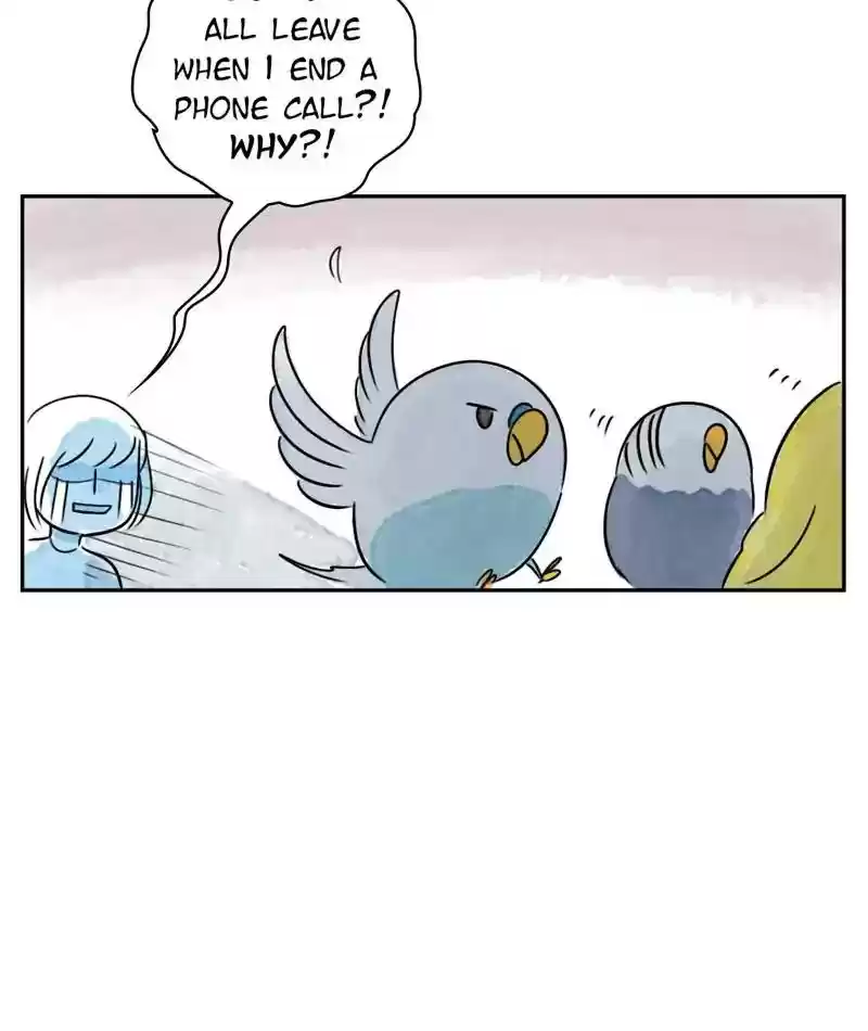 A Budgie's Life Chapter 207: Ep.206: