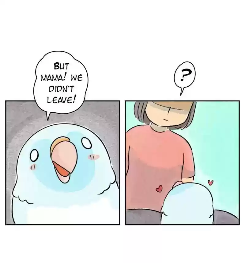 A Budgie's Life Chapter 207: Ep.206: