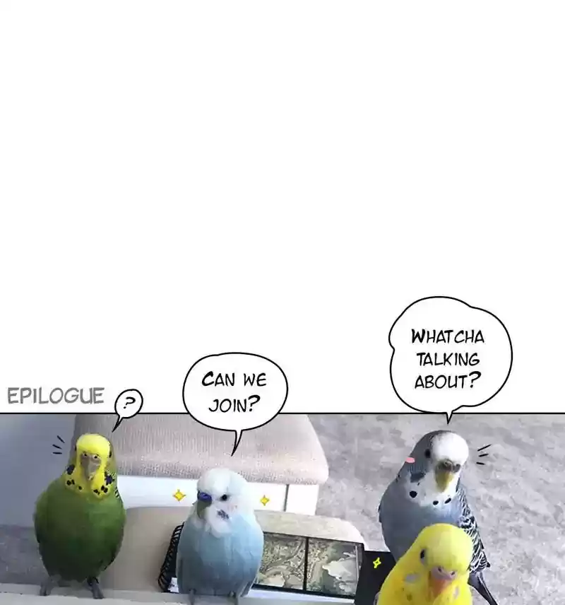 A Budgie's Life Chapter 207: Ep.206: