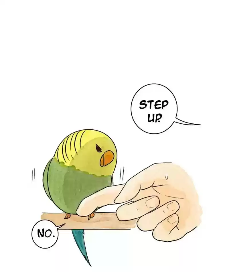 A Budgie's Life Chapter 208: Ep.207: