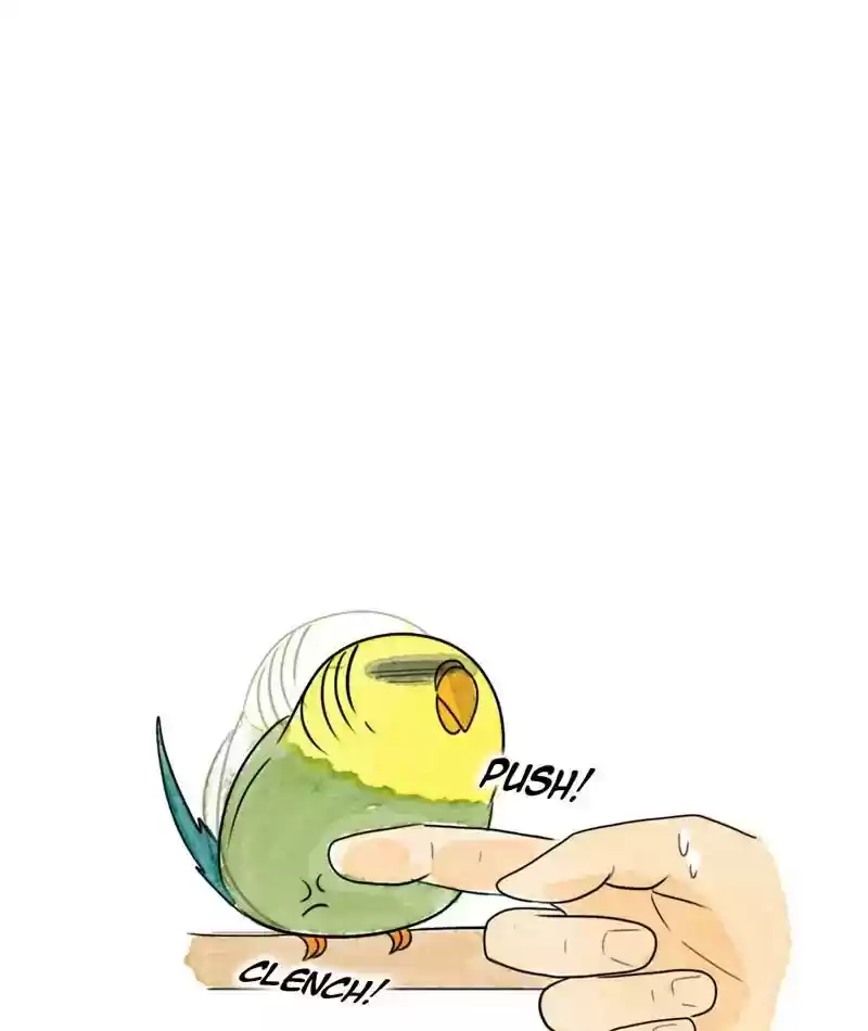 A Budgie's Life Chapter 208: Ep.207: