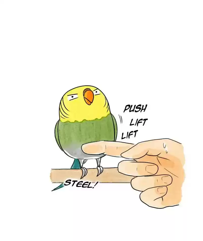 A Budgie's Life Chapter 208: Ep.207: