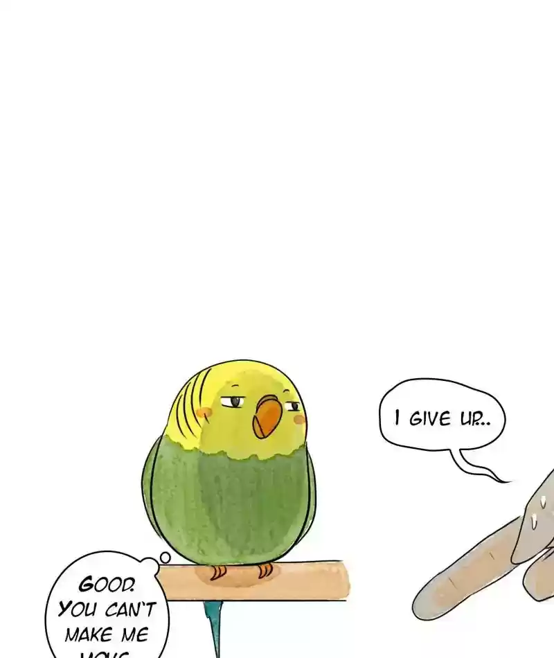 A Budgie's Life Chapter 208: Ep.207: