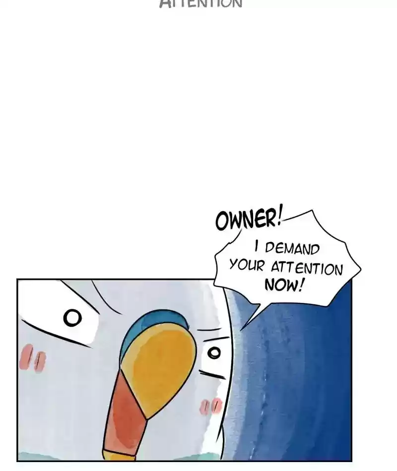 A Budgie's Life Chapter 209: Ep.208: