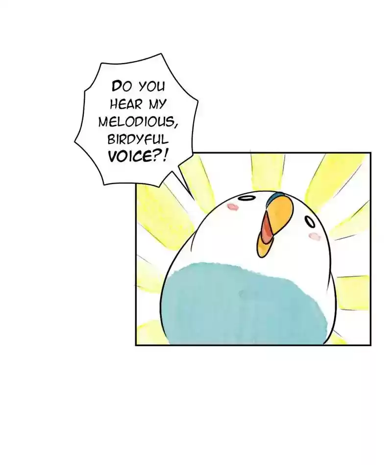 A Budgie's Life Chapter 209: Ep.208: