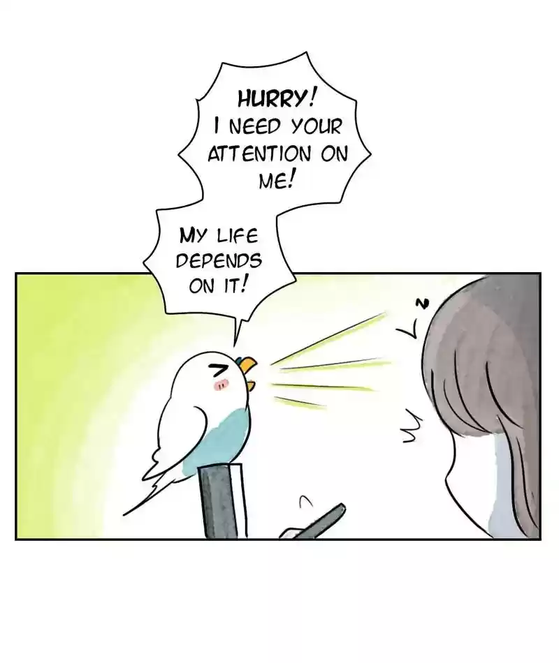 A Budgie's Life Chapter 209: Ep.208:
