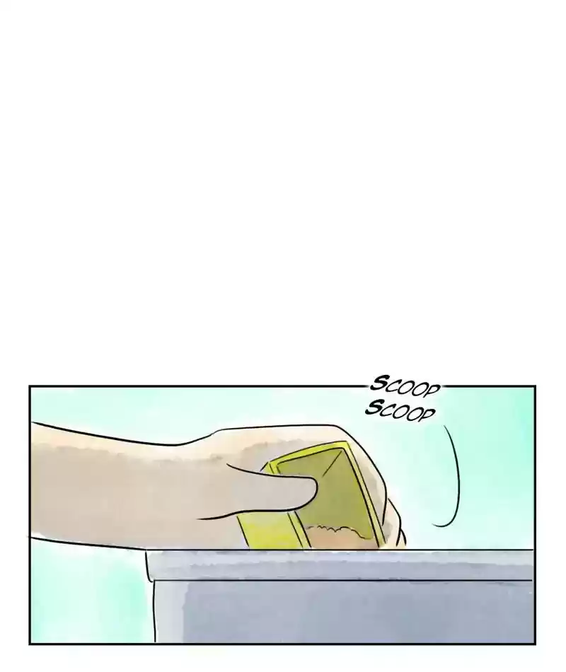 A Budgie's Life Chapter 209: Ep.208: