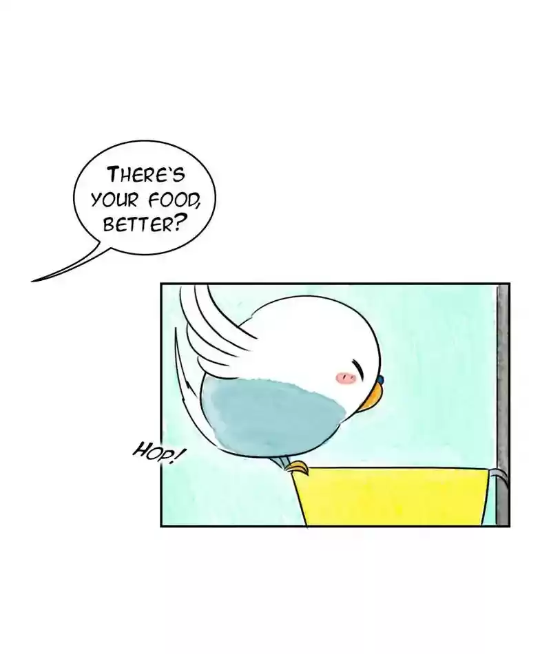 A Budgie's Life Chapter 209: Ep.208: