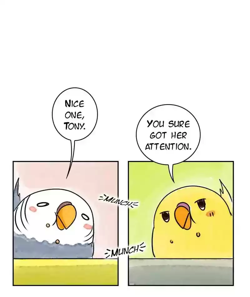 A Budgie's Life Chapter 209: Ep.208: