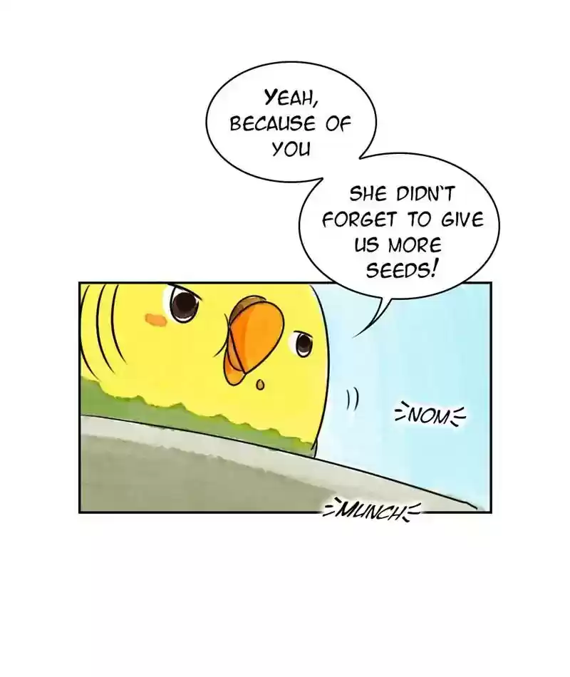 A Budgie's Life Chapter 209: Ep.208: