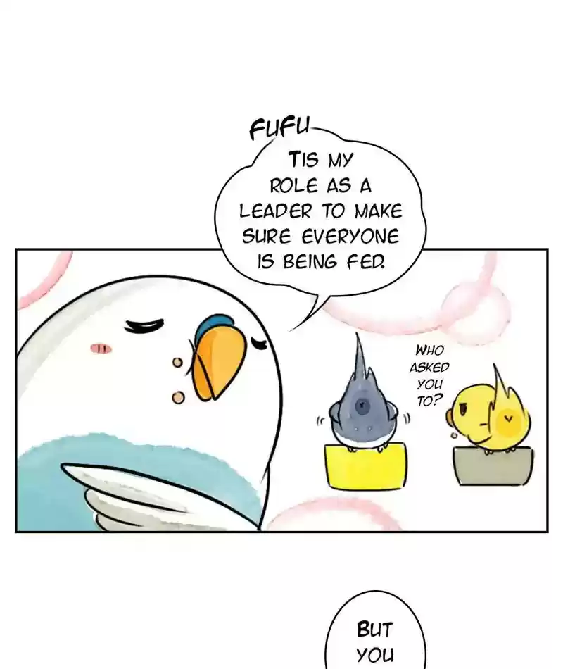 A Budgie's Life Chapter 209: Ep.208: