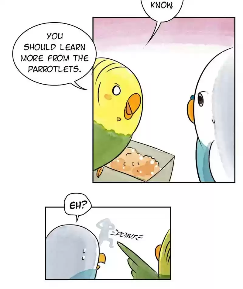 A Budgie's Life Chapter 209: Ep.208:
