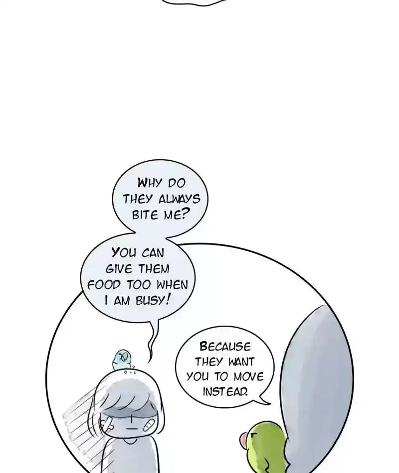 A Budgie's Life Chapter 209: Ep.208: