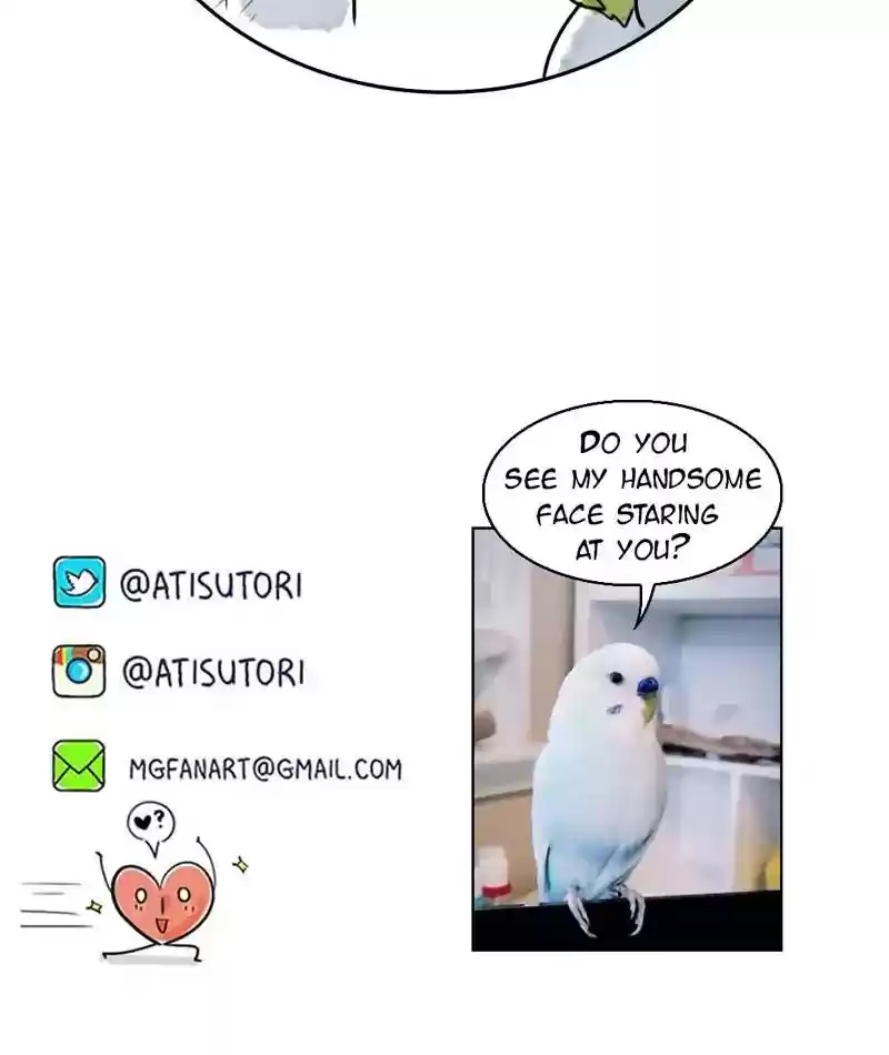A Budgie's Life Chapter 209: Ep.208: