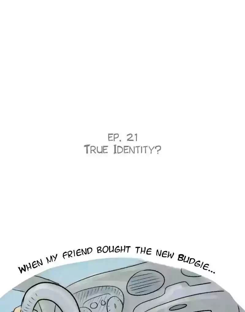 A Budgie's Life Chapter 21: Ep.21: