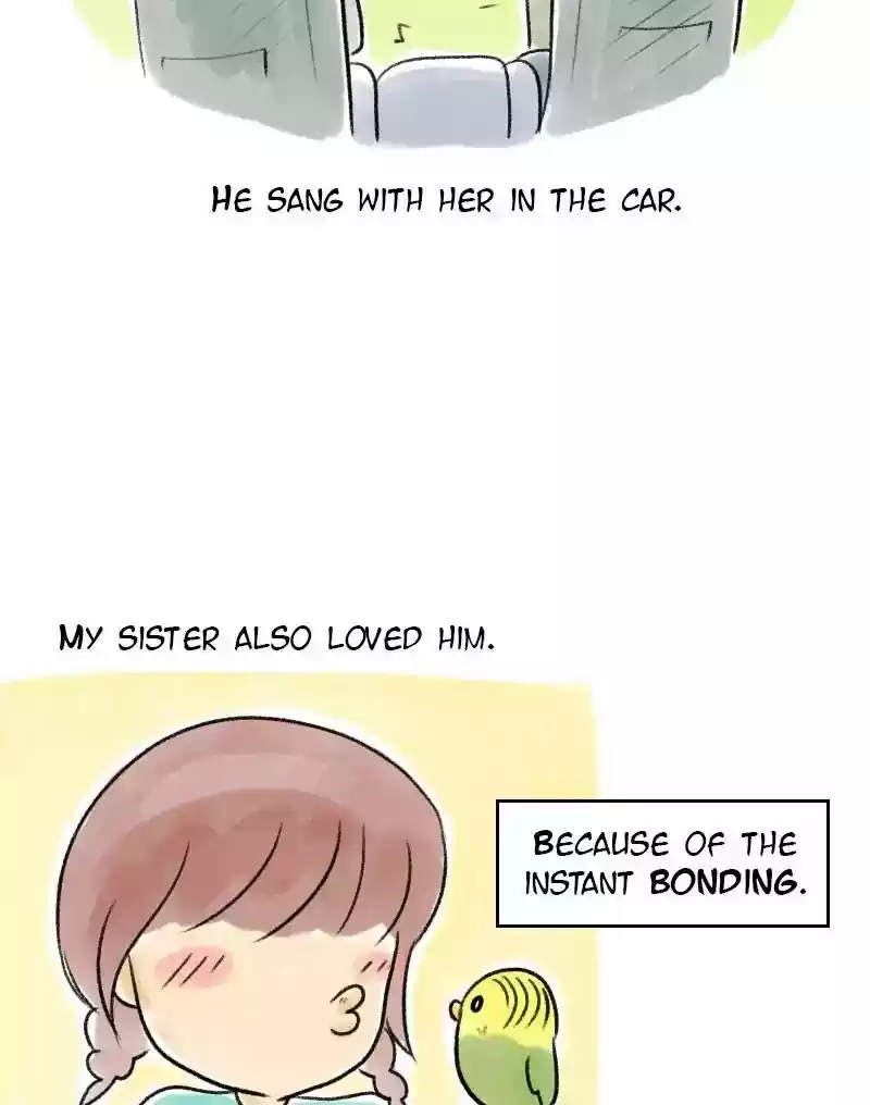 A Budgie's Life Chapter 21: Ep.21: