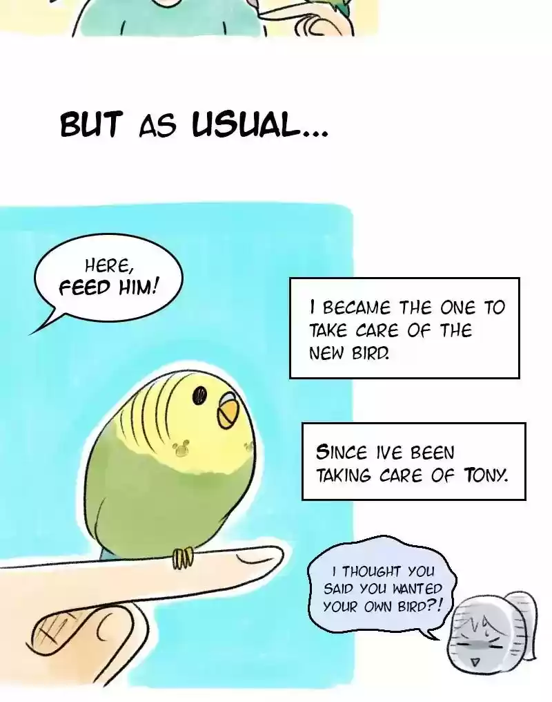 A Budgie's Life Chapter 21: Ep.21: