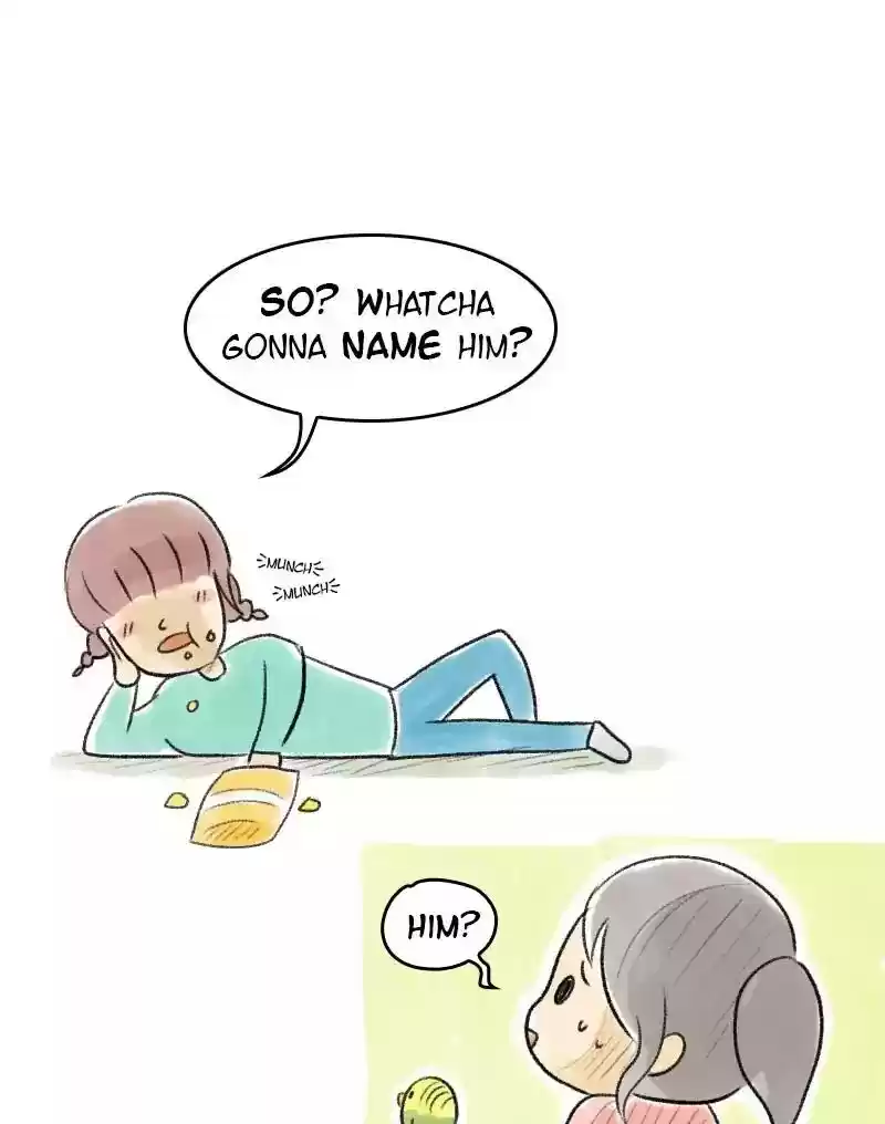 A Budgie's Life Chapter 21: Ep.21: