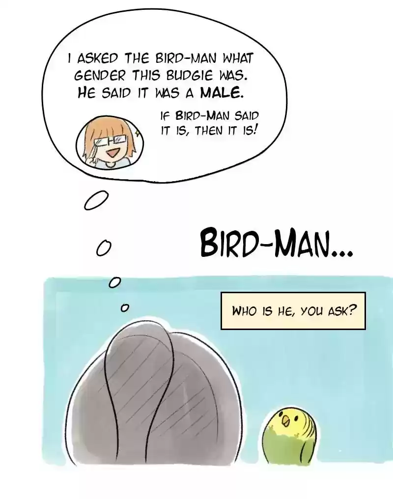 A Budgie's Life Chapter 21: Ep.21: