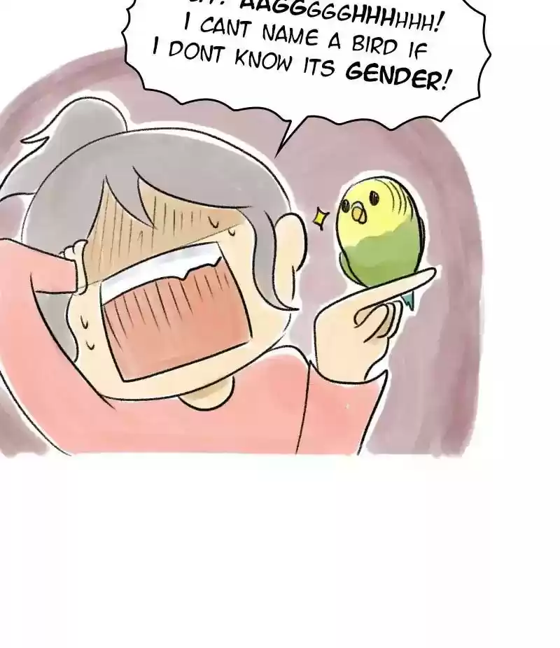 A Budgie's Life Chapter 21: Ep.21: