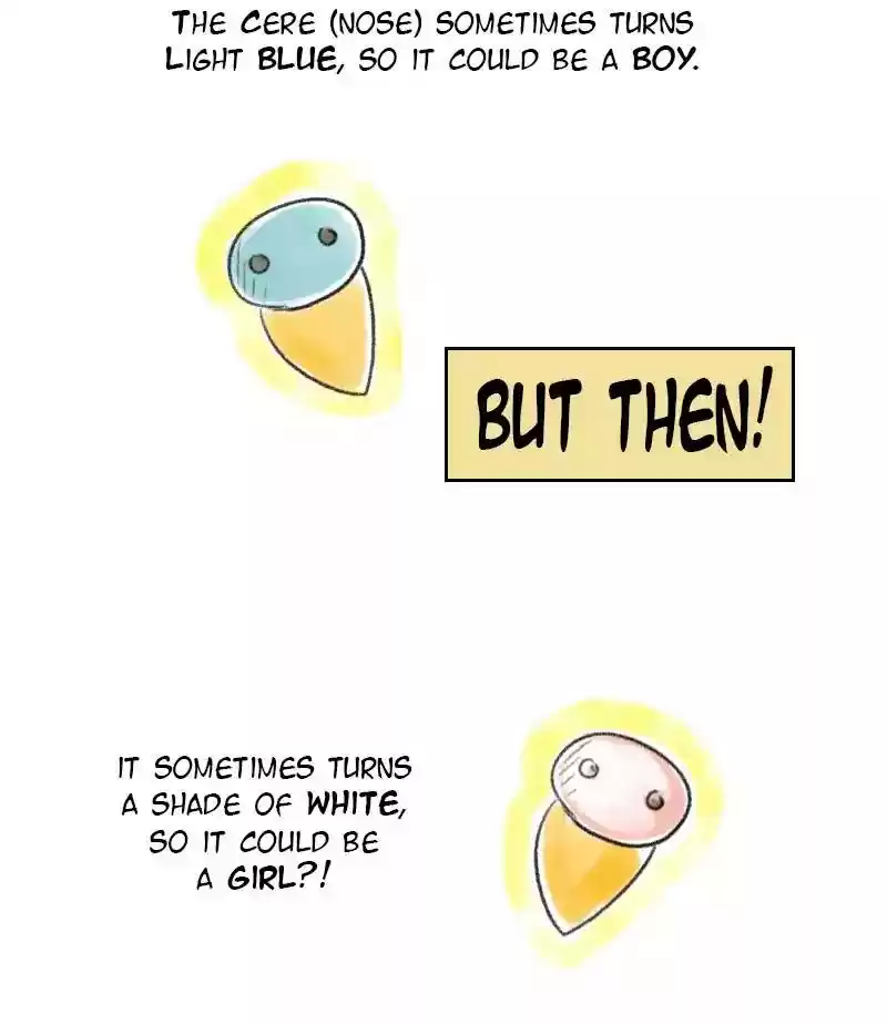 A Budgie's Life Chapter 21: Ep.21: