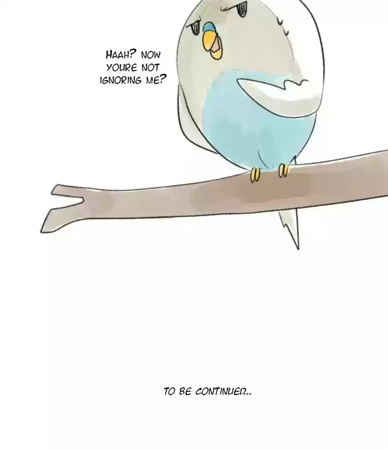 A Budgie's Life Chapter 21: Ep.21: