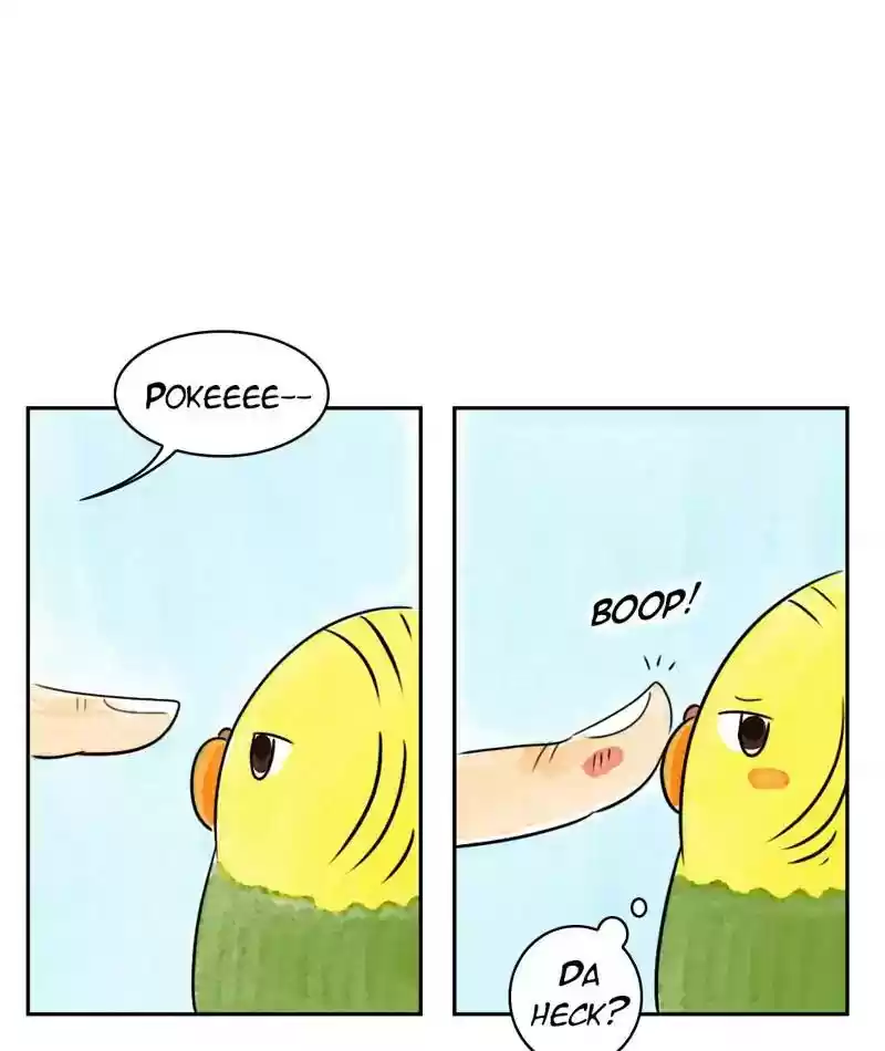 A Budgie's Life Chapter 210: Ep.209: