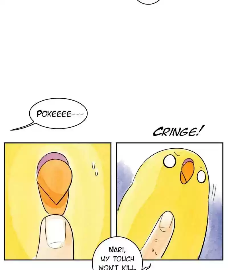 A Budgie's Life Chapter 210: Ep.209: