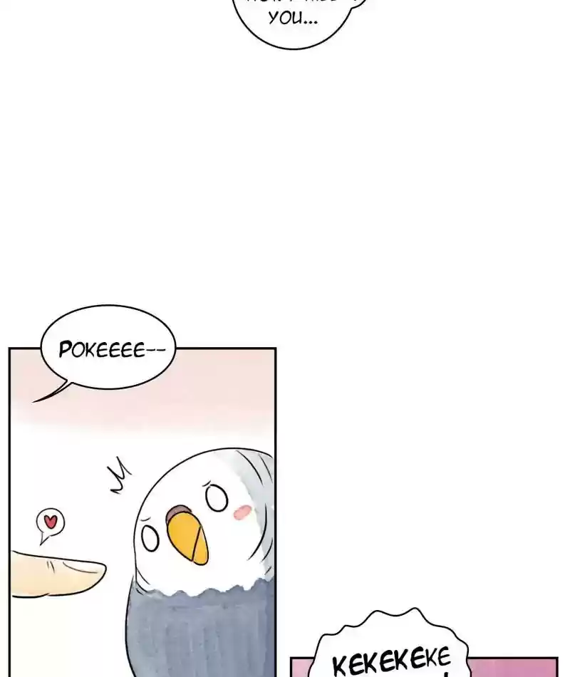 A Budgie's Life Chapter 210: Ep.209: