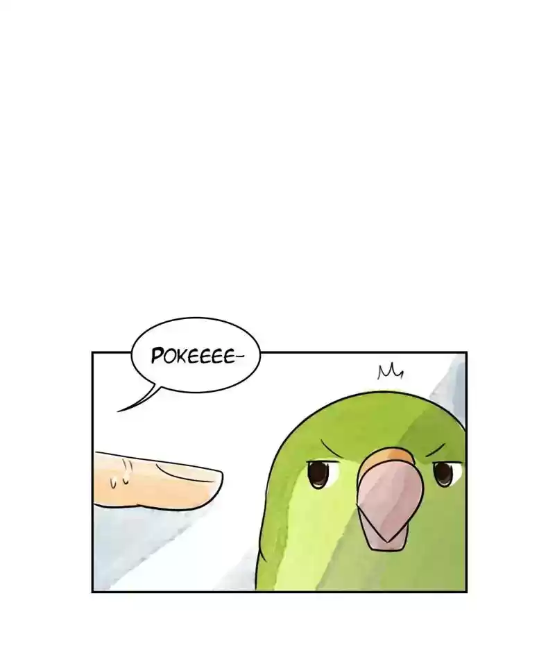 A Budgie's Life Chapter 210: Ep.209: