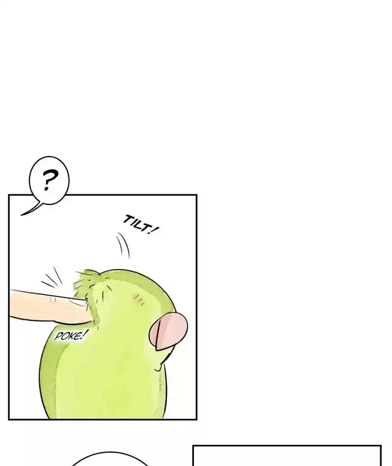 A Budgie's Life Chapter 210: Ep.209: