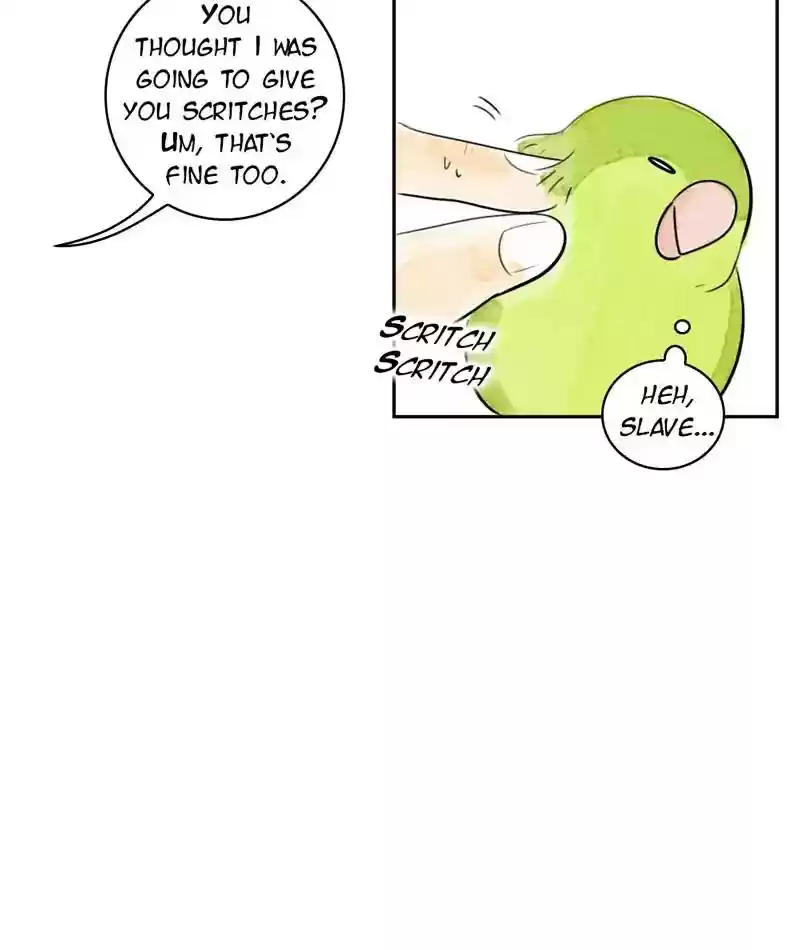 A Budgie's Life Chapter 210: Ep.209: